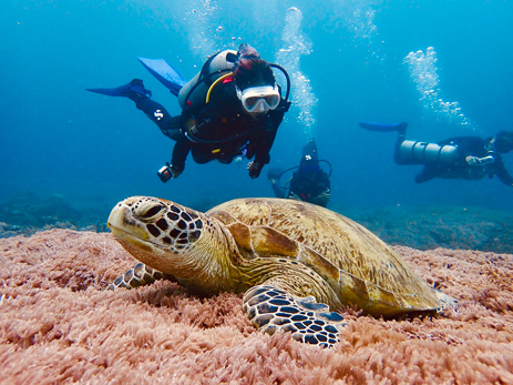 Journey through culture, adventure and nature in Sabah